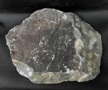 Green Plum Jasper
